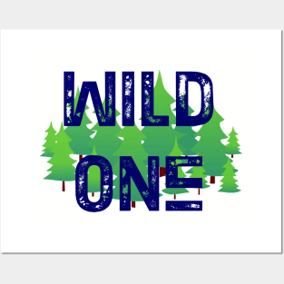 Wild One, 2 Posters and Art